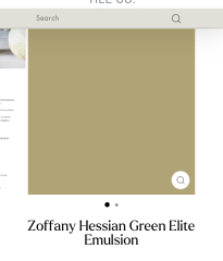 Olive/warm green paint