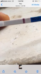 Faint test negative blood test