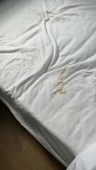 To think holiday cottage company is taking the p**s