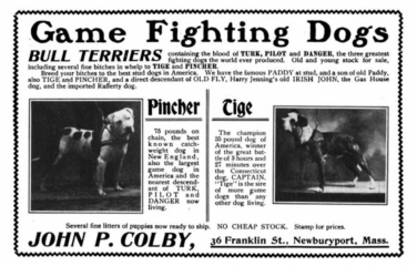 Bull breeds 'Nanny Dog' myth