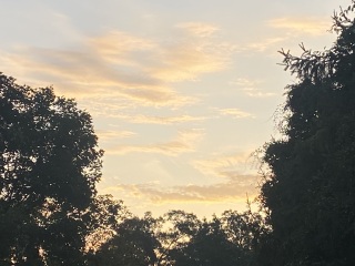 Come and tell me your dull and unexciting news 26: Calmly through the day 