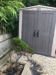 help please - neighbour's bamboo popping up in our garden