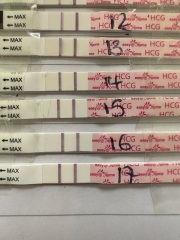FET / IVF August 2023 - thread 2