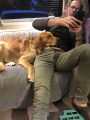 To start a positive dog thread