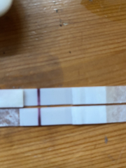 Positive or evaporation pregnancy test?