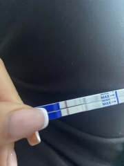 Pregnant or not?