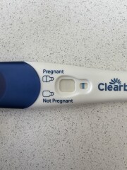Pregnant? Not pregnant?
