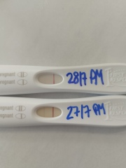 Chemical pregnancies and faint lines