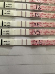 FET / IVF August 2023 - thread 2