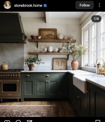 Olive or dark red kitchen cabinets?