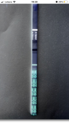 2023 TTC 35+ Part 4