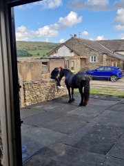 Help me compile a list of 50 things to do before I turn 50!