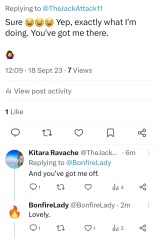 A Mumsnet thread about a book about a Mumsnet thread “Under the Duvet of Darkness” written by the women of Mumsnet THREAD 2