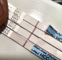 Faint lines on mom med tests?