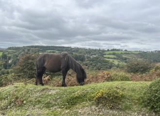 Cancer support thread 90 - still the best threads no one wants to be on