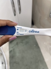 Fertility Appointments and Beyond: Electric Boogaloo