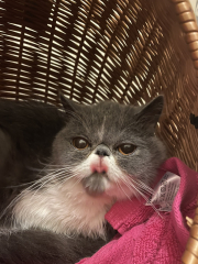 Potential new inmate at Toddler Towers.