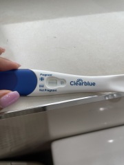 Fertility Appointments and Beyond: Electric Boogaloo
