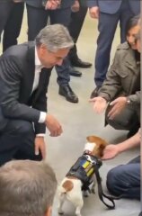 Ukraine Invasion: Part 44