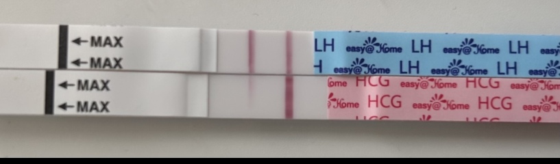4dpo any one? Tww