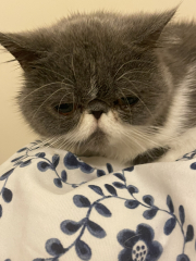 Potential new inmate at Toddler Towers.