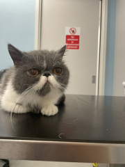 Potential new inmate at Toddler Towers.