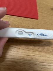 BBTing our way to a BFP in September 🎉 cont.