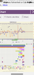 Have i ovulated?