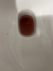 Need help asap