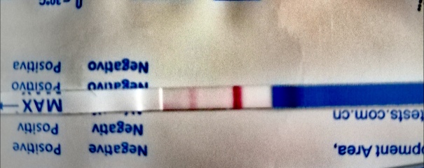 Are one step tests accurate