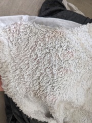 Christmas bargains thread 2 - where did Reastie go