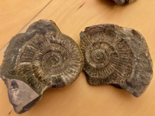 Thread 9 - TalkLair: “Russell's teapot goes on being round”