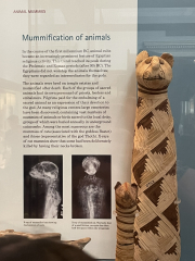 Further Adventures of the Excellent Cats