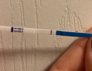 How many Lines?
