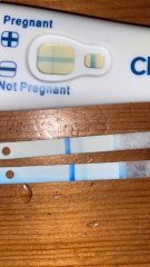 Positive or evaporation pregnancy test?