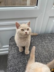 A new arrival
