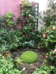 Inspiration needed for small ugly courtyard-pic