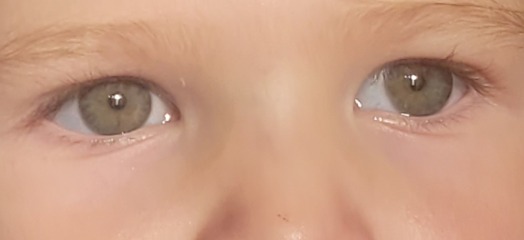 What colour would you say these eyes are?