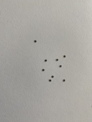 To wonder what the hell these things are?