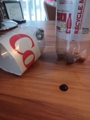 Contaminant in Diet Coke Bottle (For the 2nd Time)