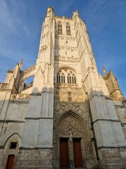 The Saxenda Sisterhood 