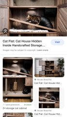 Building a cat house and wall pass throughs