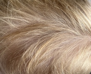 Settle a debate please - hair colour