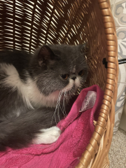 Potential new inmate at Toddler Towers.