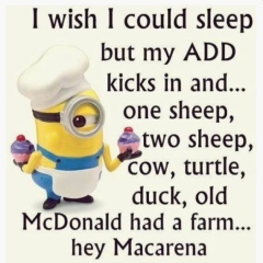 I'm in bed with COVID and utterly miserable. Can I see pics of your pets/favourite memes or favourite jokes?