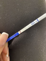 Positive tests or evap lines??