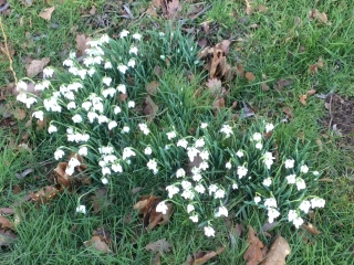 What have you done in the garden today? Part 3