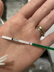 Tests Help