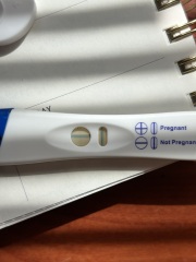 5 and half week scan no yolk or pole- help