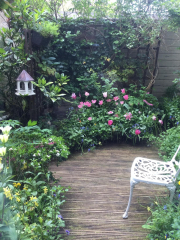 Inspiration needed for small ugly courtyard-pic